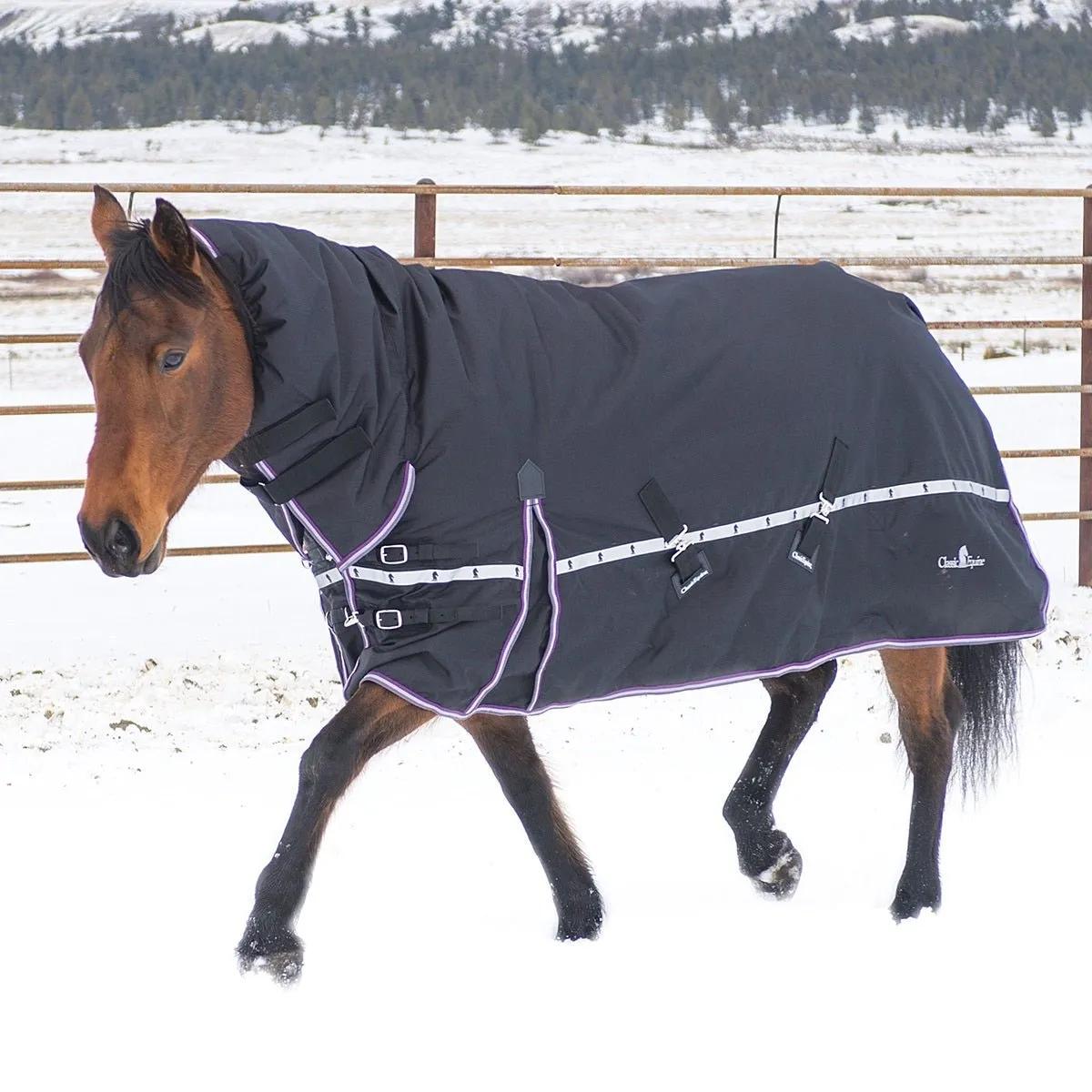 Classic Equine Horse 10k Cross Trainer Hooded Winter Blanket